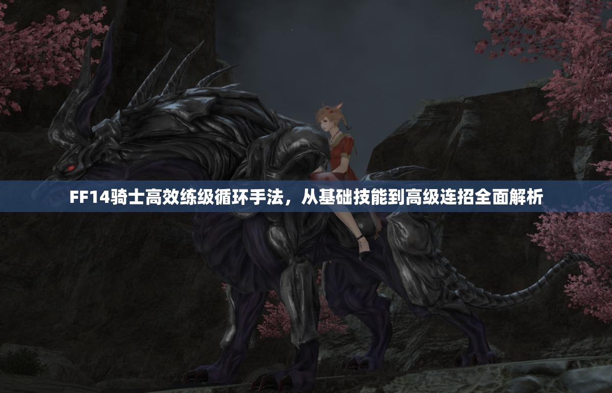 FF14骑士高效练级循环手法，从基础技能到高级连招全面解析
