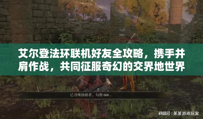 艾尔登法环联机好友全攻略，携手并肩作战，共同征服奇幻的交界地世界