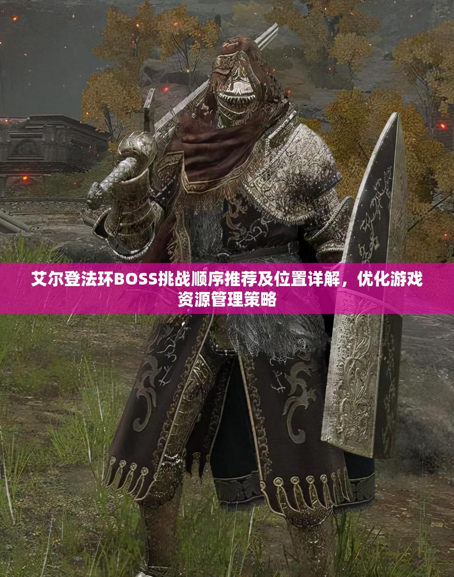 艾尔登法环BOSS挑战顺序推荐及位置详解，优化游戏资源管理策略