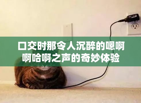 口交时那令人沉醉的嗯啊啊哈啊之声的奇妙体验