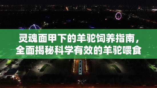 灵魂面甲下的羊驼饲养指南，全面揭秘科学有效的羊驼喂食方法