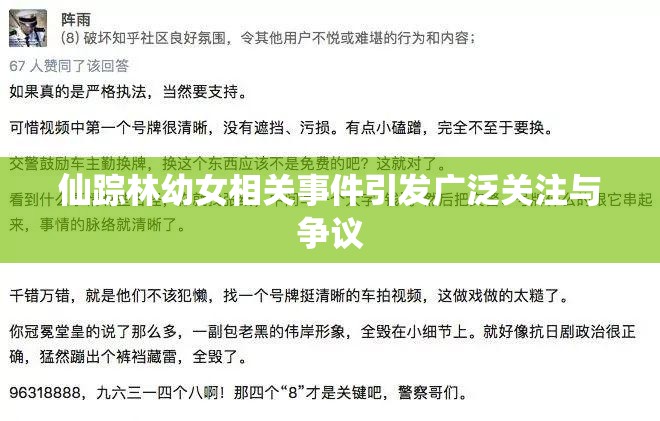 仙踪林幼女相关事件引发广泛关注与争议