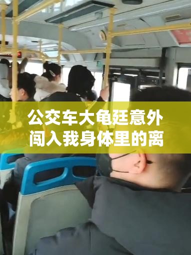 公交车大龟廷意外闯入我身体里的离奇经历