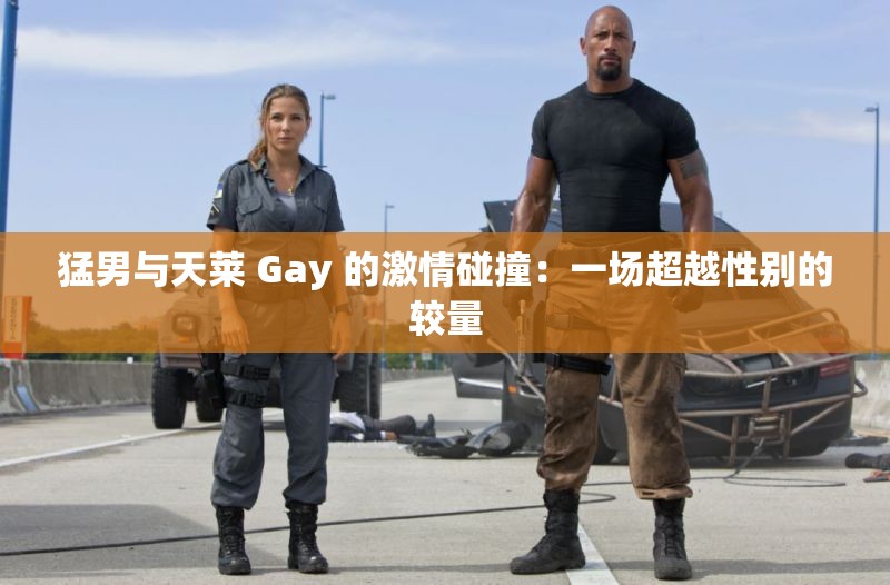 猛男与天莱 Gay 的激情碰撞：一场超越性别的较量