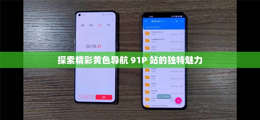 探索精彩黄色导航 91P 站的独特魅力