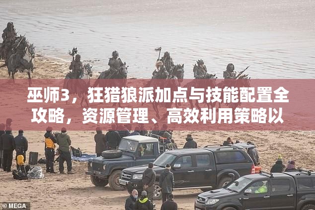 巫师3，狂猎狼派加点与技能配置全攻略，资源管理、高效利用策略以最大化角色价值