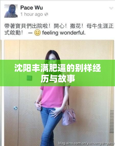 沈阳丰满肥逼的别样经历与故事