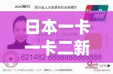 日本一卡一卡二新区乱码仙踪林网：一段充满惊喜的旅程