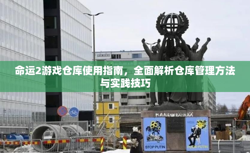 命运2游戏仓库使用指南，全面解析仓库管理方法与实践技巧
