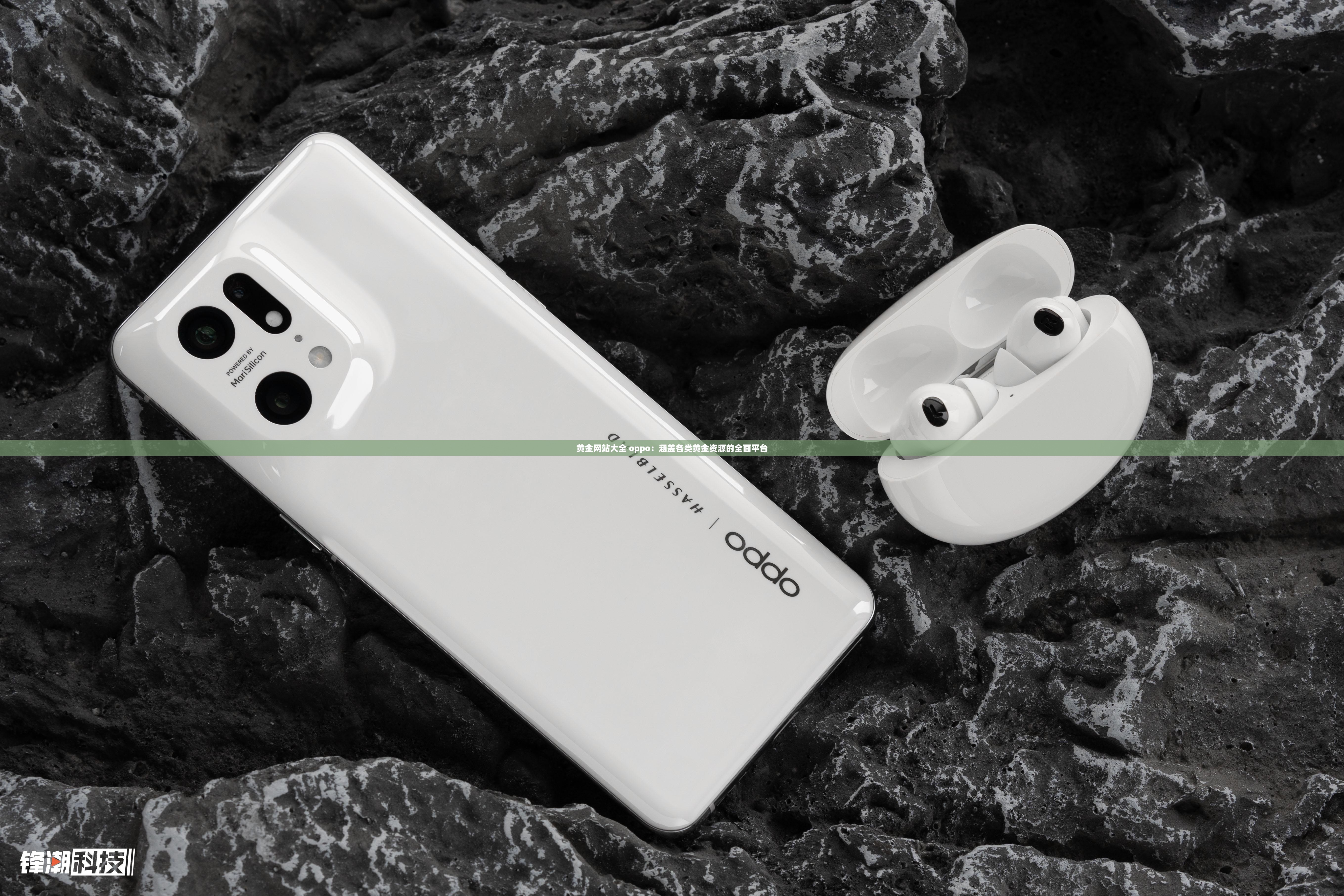 黄金网站大全 oppo：涵盖各类黄金资源的全面平台