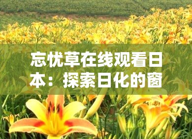 忘忧草在线观看日本：探索日化的窗口