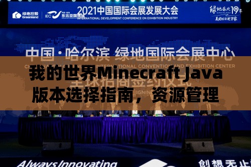 我的世界Minecraft Java版本选择指南，资源管理视角下的重要性及优选策略