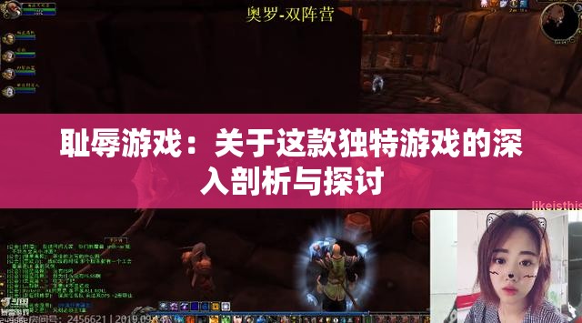 耻辱游戏：关于这款独特游戏的深入剖析与探讨