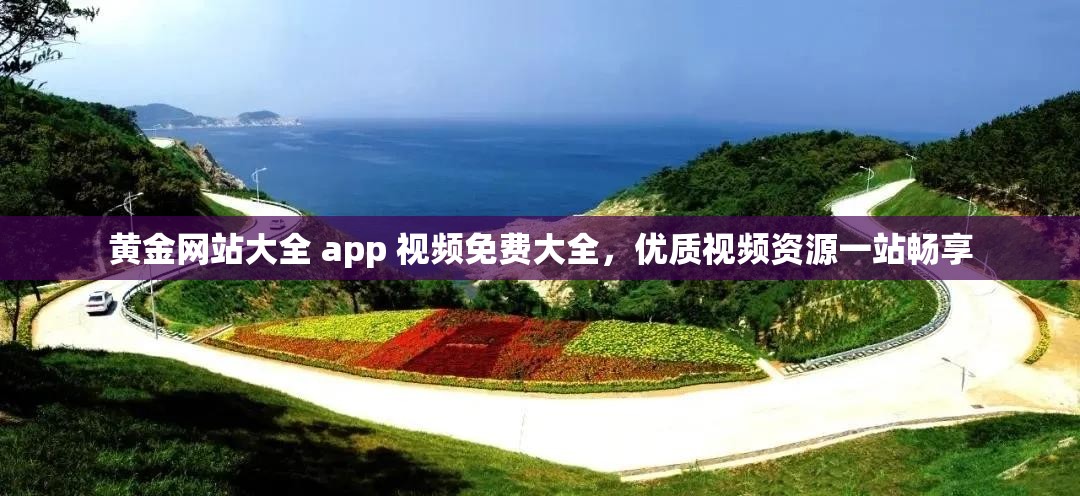 黄金网站大全 app 视频免费大全，优质视频资源一站畅享