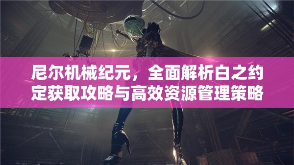 尼尔机械纪元，全面解析白之约定获取攻略与高效资源管理策略
