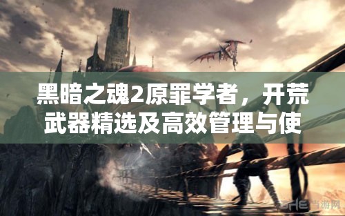 黑暗之魂2原罪学者，开荒武器精选及高效管理与使用实战策略