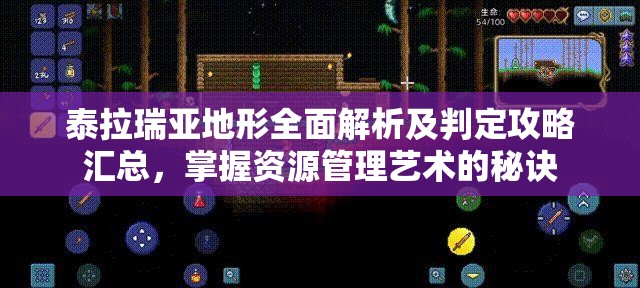 泰拉瑞亚地形全面解析及判定攻略汇总，掌握资源管理艺术的秘诀