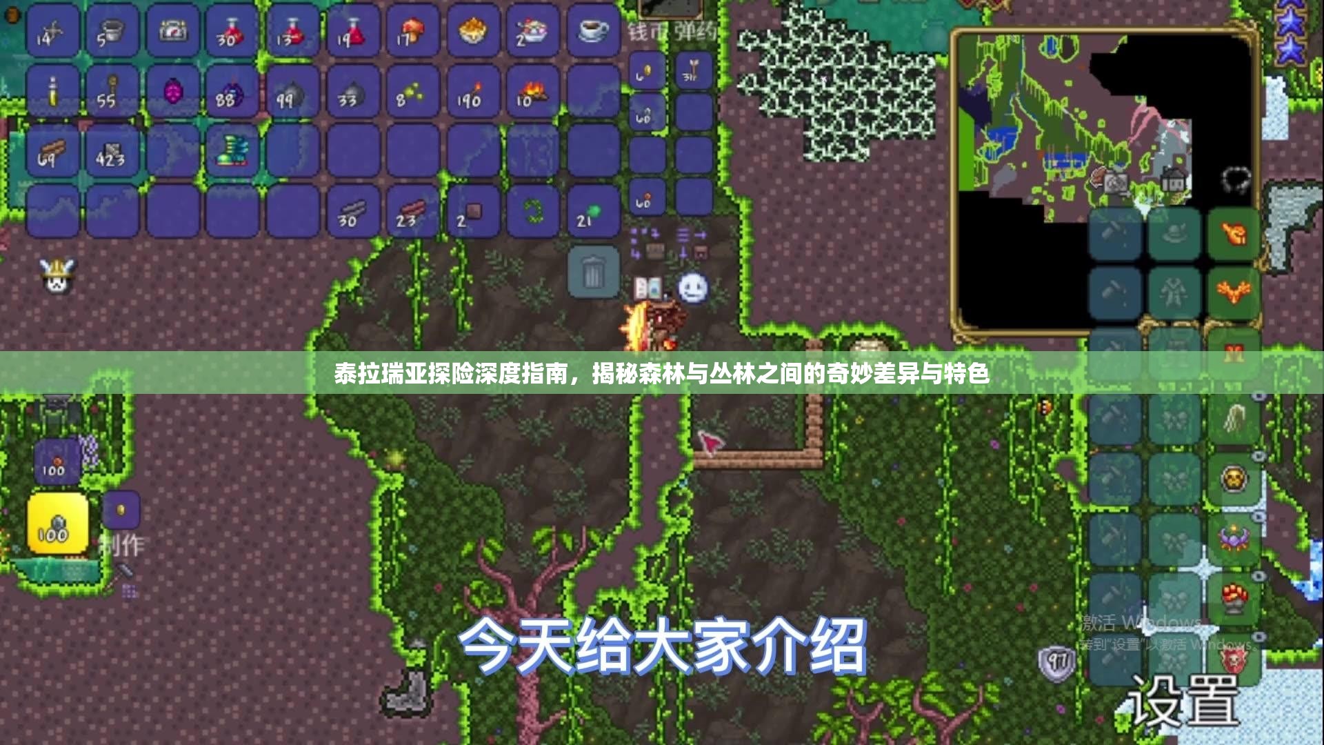 泰拉瑞亚探险深度指南，揭秘森林与丛林之间的奇妙差异与特色