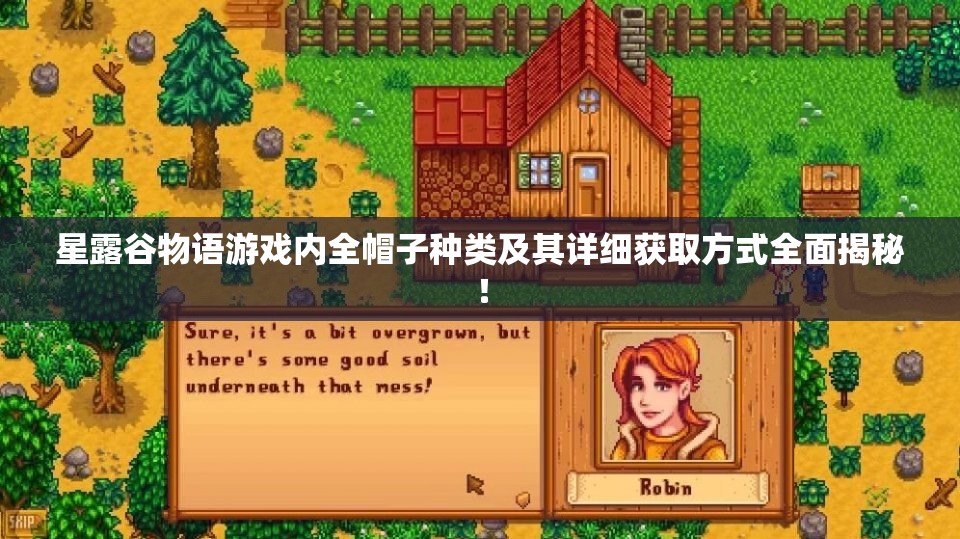 星露谷物语游戏内全帽子种类及其详细获取方式全面揭秘！
