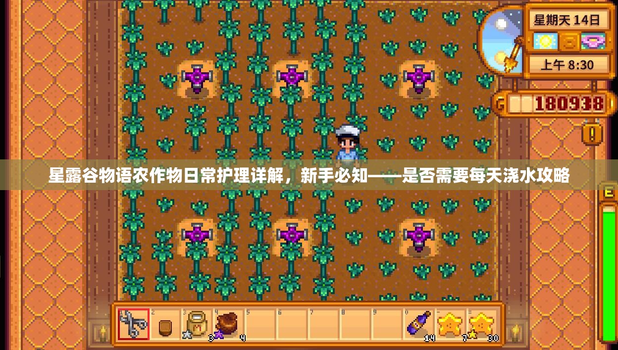 星露谷物语农作物日常护理详解，新手必知——是否需要每天浇水攻略