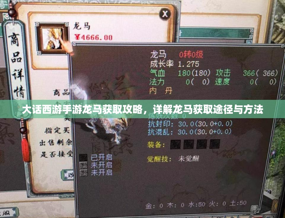 大话西游手游龙马获取攻略，详解龙马获取途径与方法