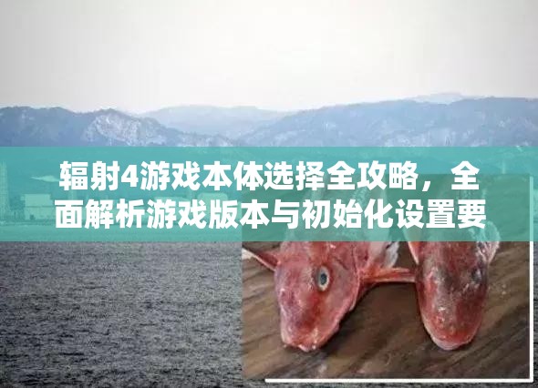 辐射4游戏本体选择全攻略，全面解析游戏版本与初始化设置要点