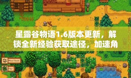 星露谷物语1.6版本更新，解锁全新经验获取途径，加速角色成长速度