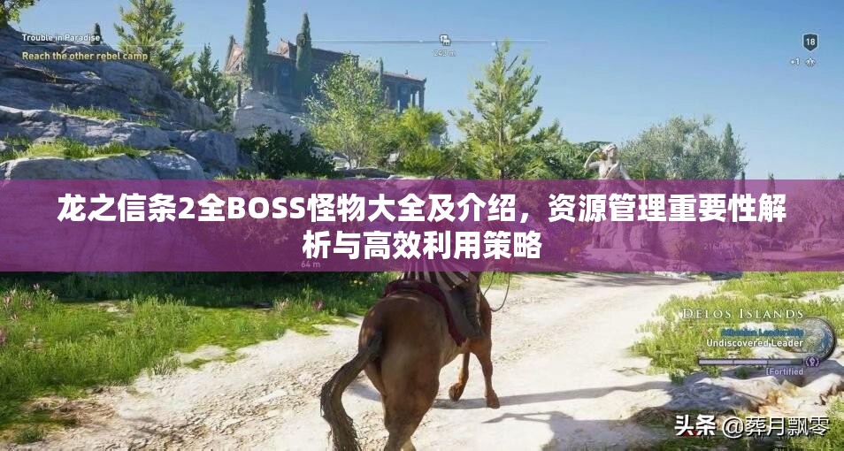 龙之信条2全BOSS怪物大全及介绍，资源管理重要性解析与高效利用策略