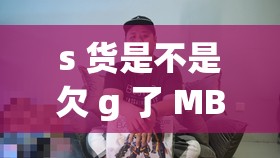 s 货是不是欠 g 了 MBA 智库引发的思考