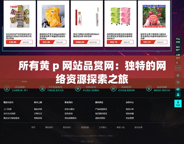 所有黄 p 网站品赏网：独特的网络资源探索之旅