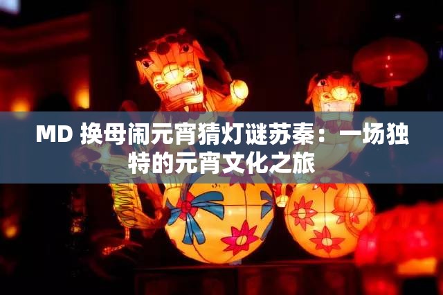MD 换母闹元宵猜灯谜苏秦：一场独特的元宵文化之旅