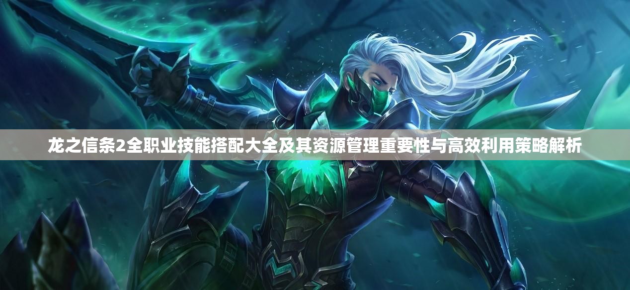 龙之信条2全职业技能搭配大全及其资源管理重要性与高效利用策略解析
