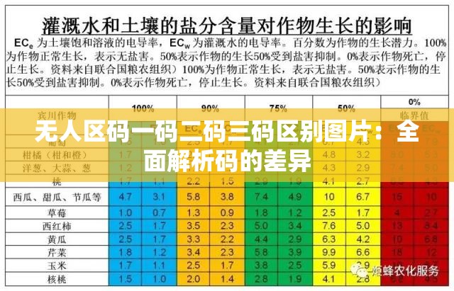 无人区码一码二码三码区别图片：全面解析码的差异