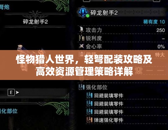 怪物猎人世界，轻弩配装攻略及高效资源管理策略详解