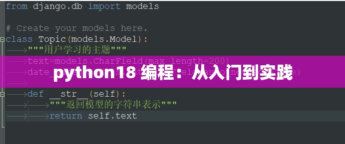 python18 编程：从入门到实践