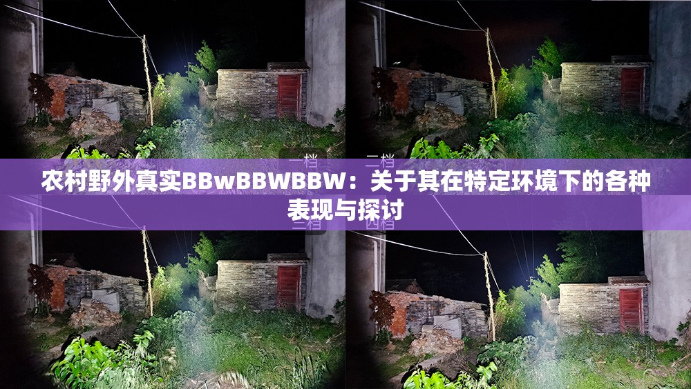 农村野外真实BBwBBWBBW：关于其在特定环境下的各种表现与探讨