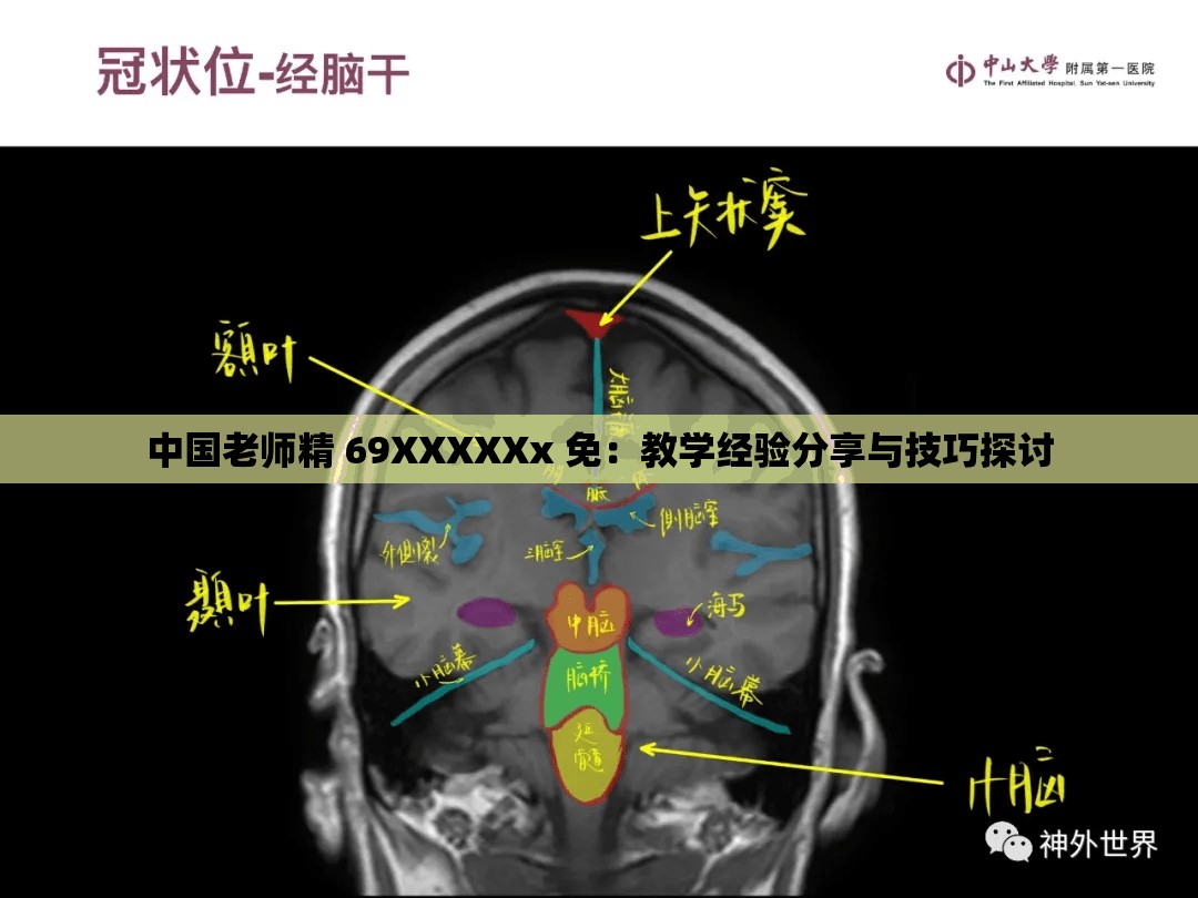 中国老师精 69XXXXXx 免:教学经验分享与技巧探讨 中国老师精 69XXXXXx 免:教学经验分享与技巧探讨