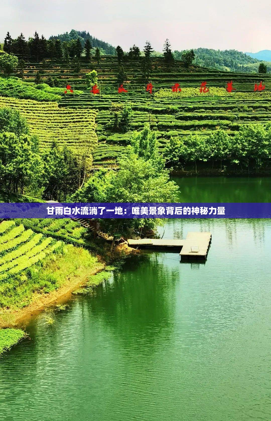 甘雨白水流淌了一地：唯美景象背后的神秘力量