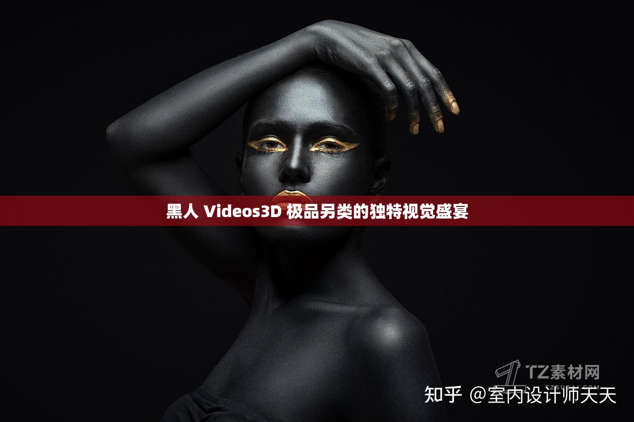 黑人 Videos3D 极品另类的独特视觉盛宴