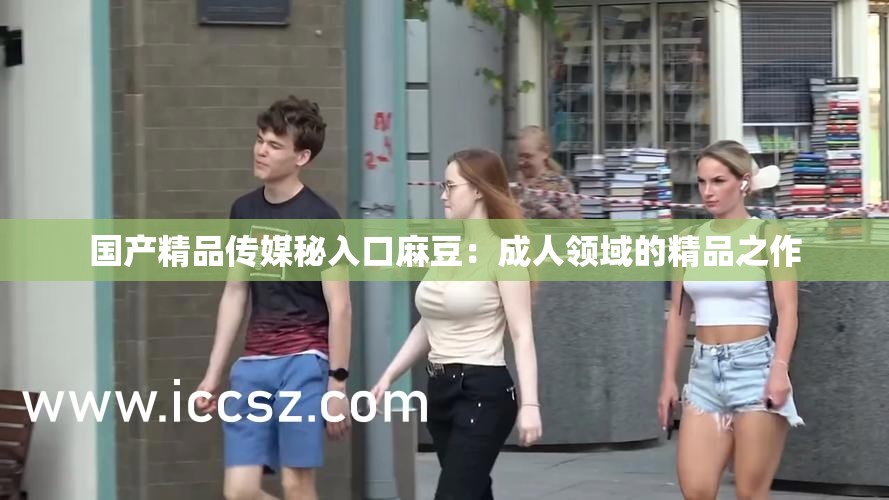 国产精品传媒秘入口麻豆：成人领域的精品之作