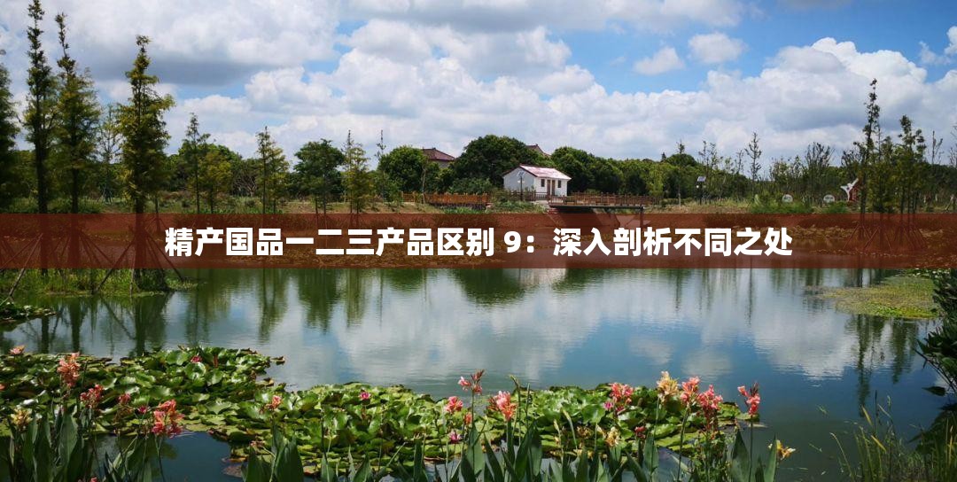 精产国品一二三产品区别 9：深入剖析不同之处