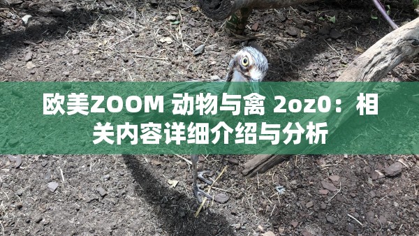 欧美ZOOM 动物与禽 2oz0：相关内容详细介绍与分析