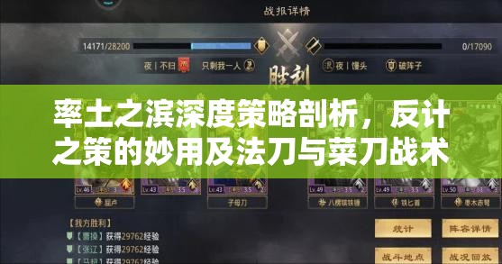 率土之滨深度策略剖析，反计之策的妙用及法刀与菜刀战术抉择详解