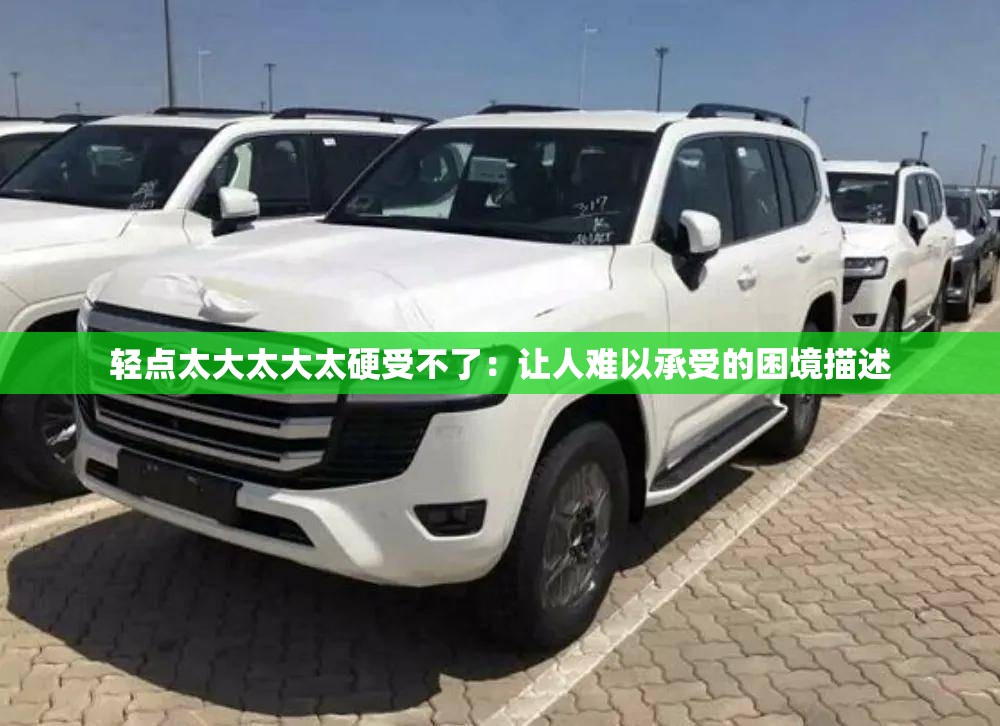 轻点太大太大太硬受不了：让人难以承受的困境描述