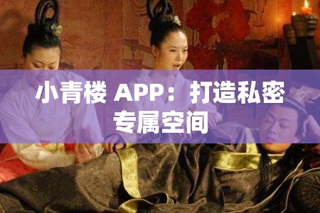 小青楼 APP：打造私密专属空间
