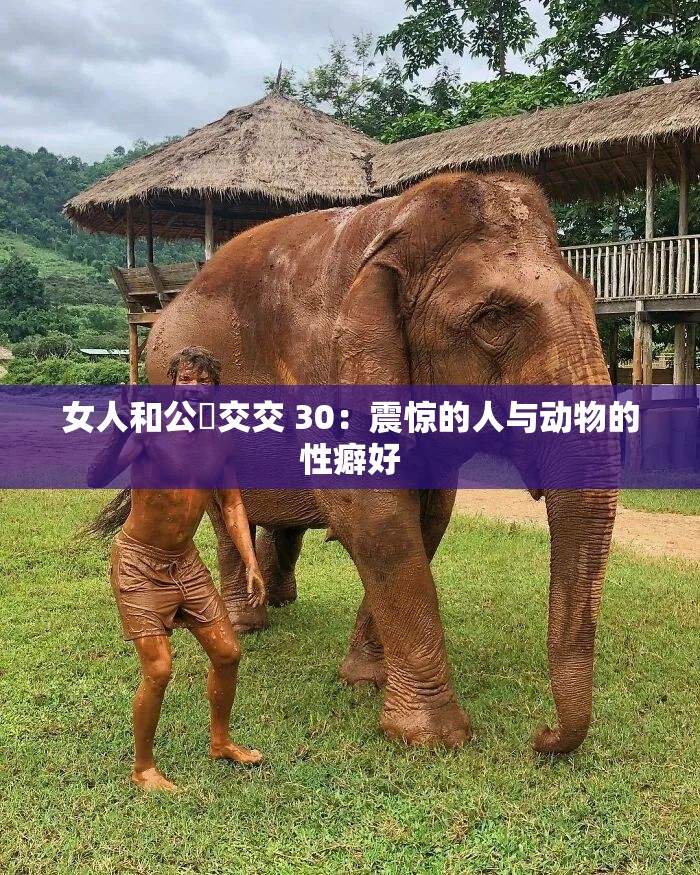 女人和公豬交交 30：震惊的人与动物的性癖好
