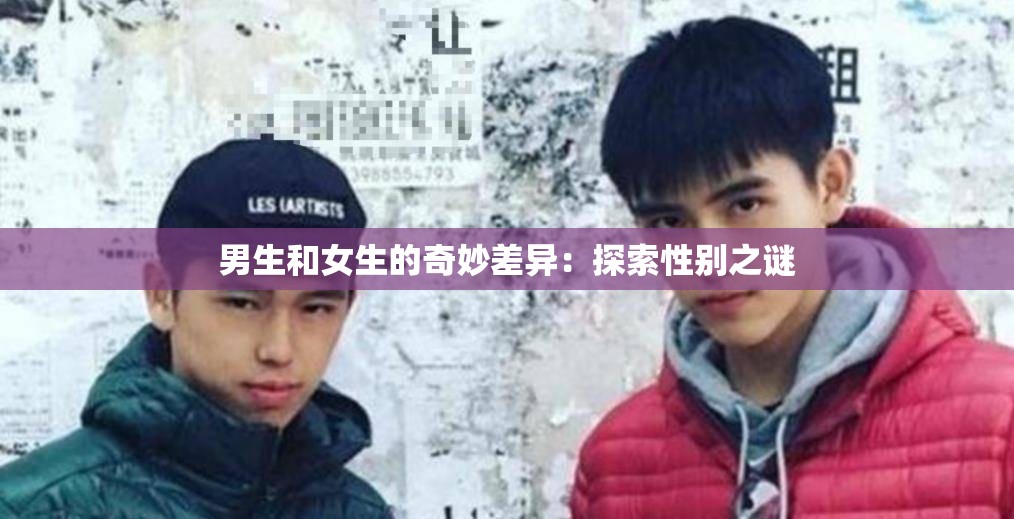 男生和女生的奇妙差异：探索性别之谜