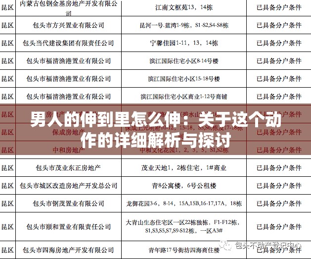 男人的伸到里怎么伸：关于这个动作的详细解析与探讨
