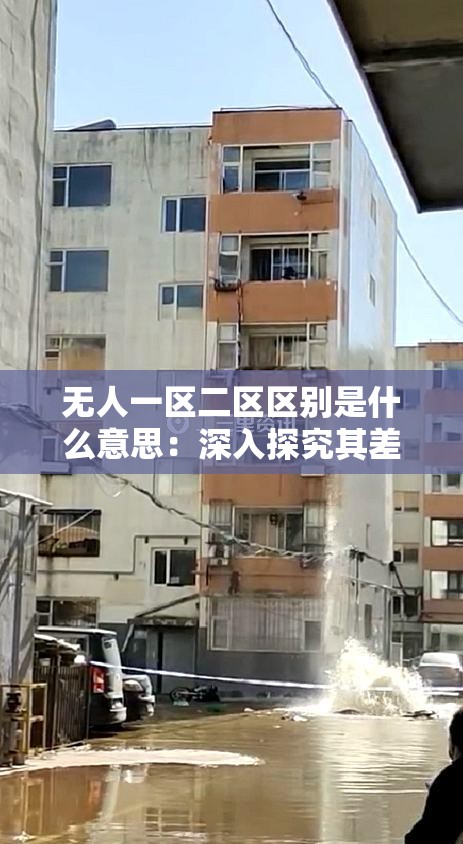 无人一区二区区别是什么意思：深入探究其差异所在