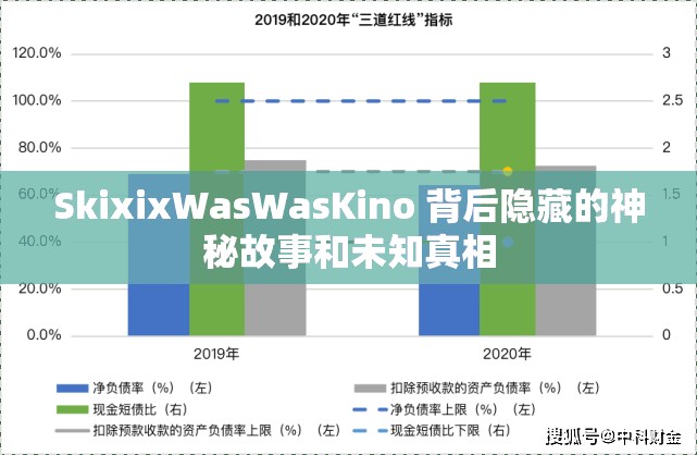 SkixixWasWasKino 背后隐藏的神秘故事和未知真相